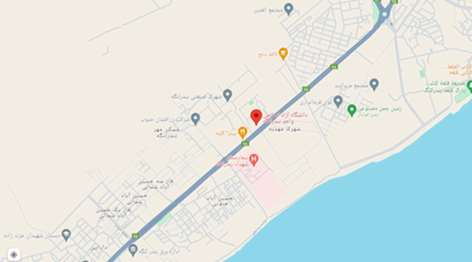 google map image